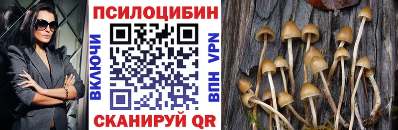 магазин  наркотиков  KRAKEN рабочий сайт  Галлюциногенные грибы Magic Shrooms  Обоянь 